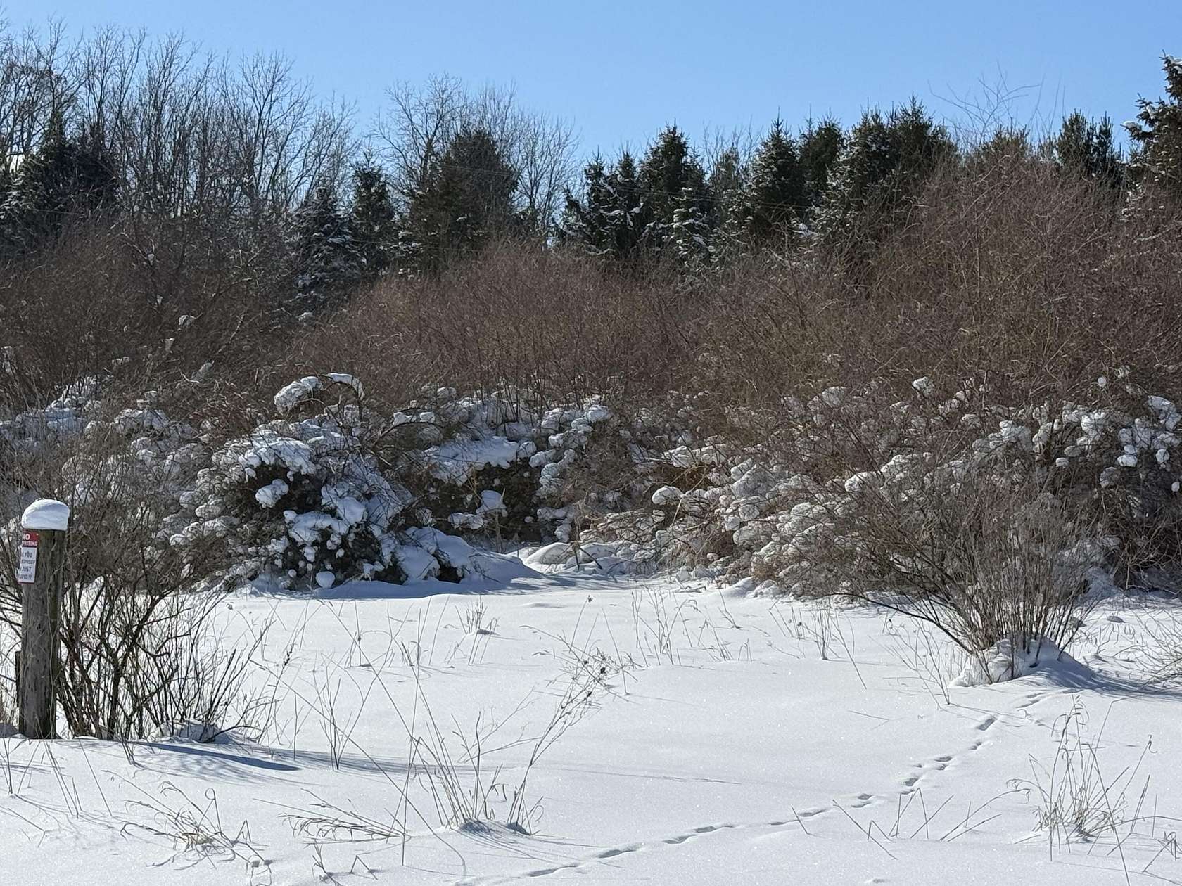 4.7 Acres of Land for Sale in Middleville, Michigan