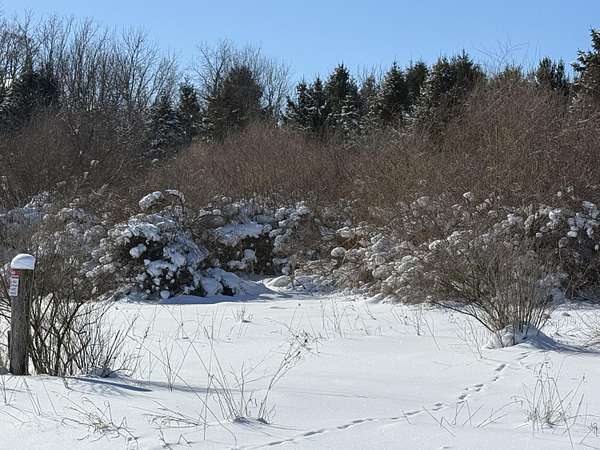 4.7 Acres of Land for Sale in Middleville, Michigan