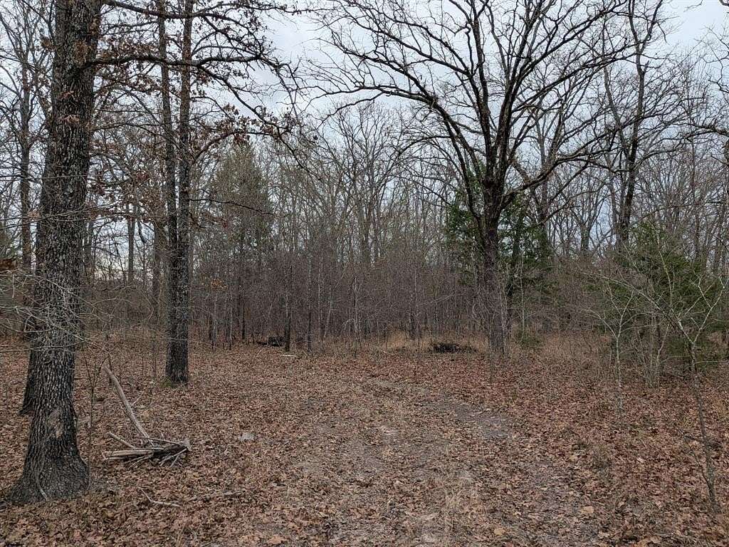 2 Acres of Residential Land for Sale in Alba, Texas