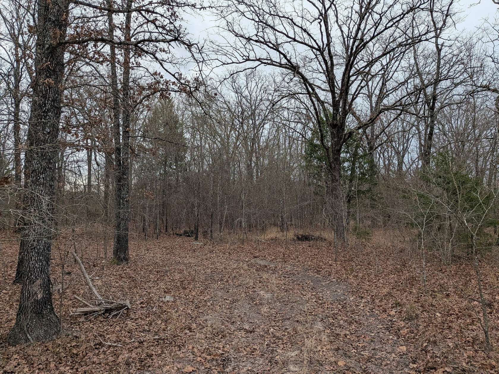 2 Acres of Residential Land for Sale in Alba, Texas