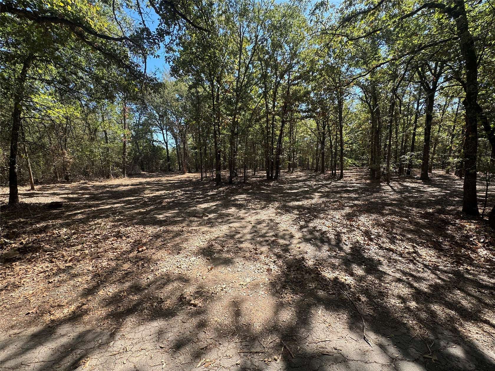 2 Acres of Residential Land for Sale in Alba, Texas