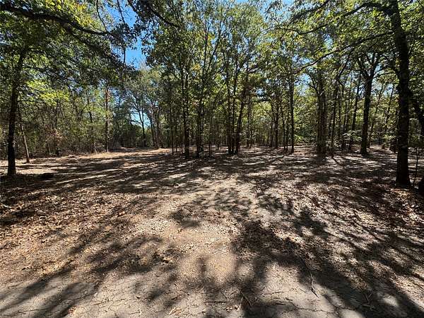 2 Acres of Residential Land for Sale in Alba, Texas