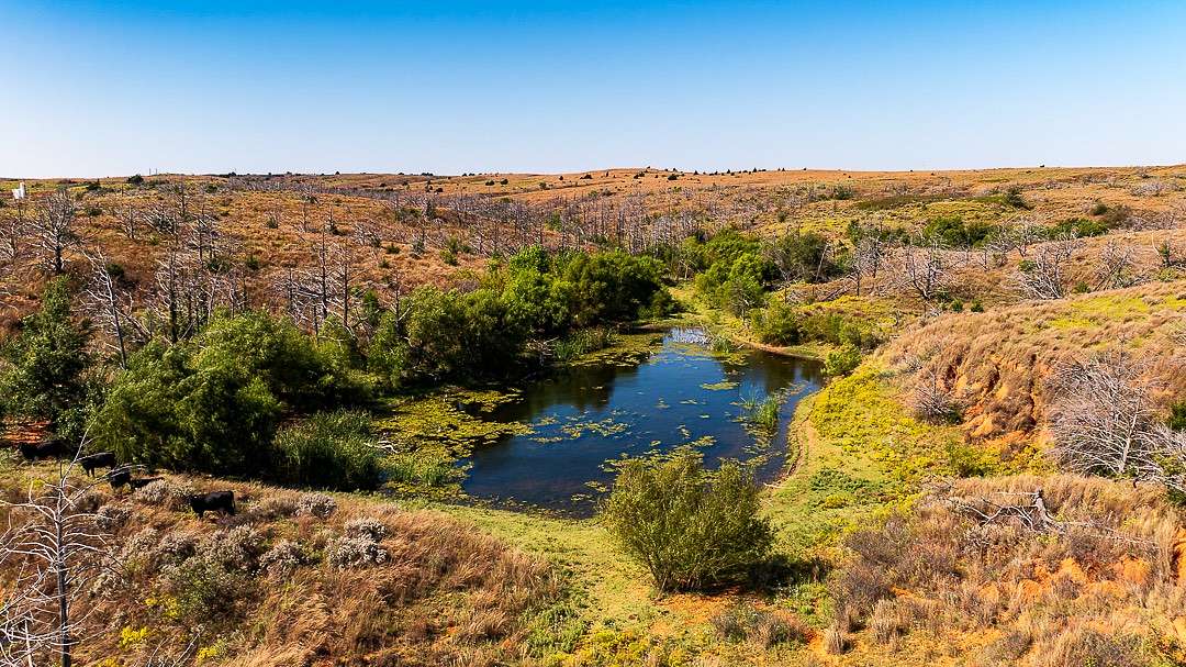 320 Acres of Recreational Land & Farm for Auction in Mooreland, Oklahoma
