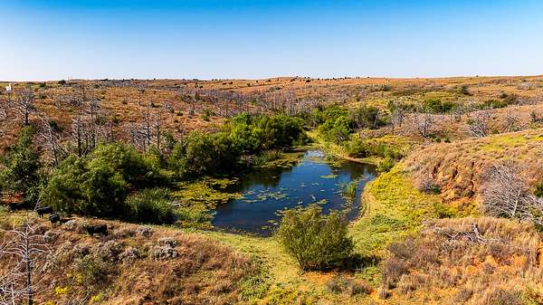 320 Acres of Recreational Land & Farm for Auction in Mooreland, Oklahoma