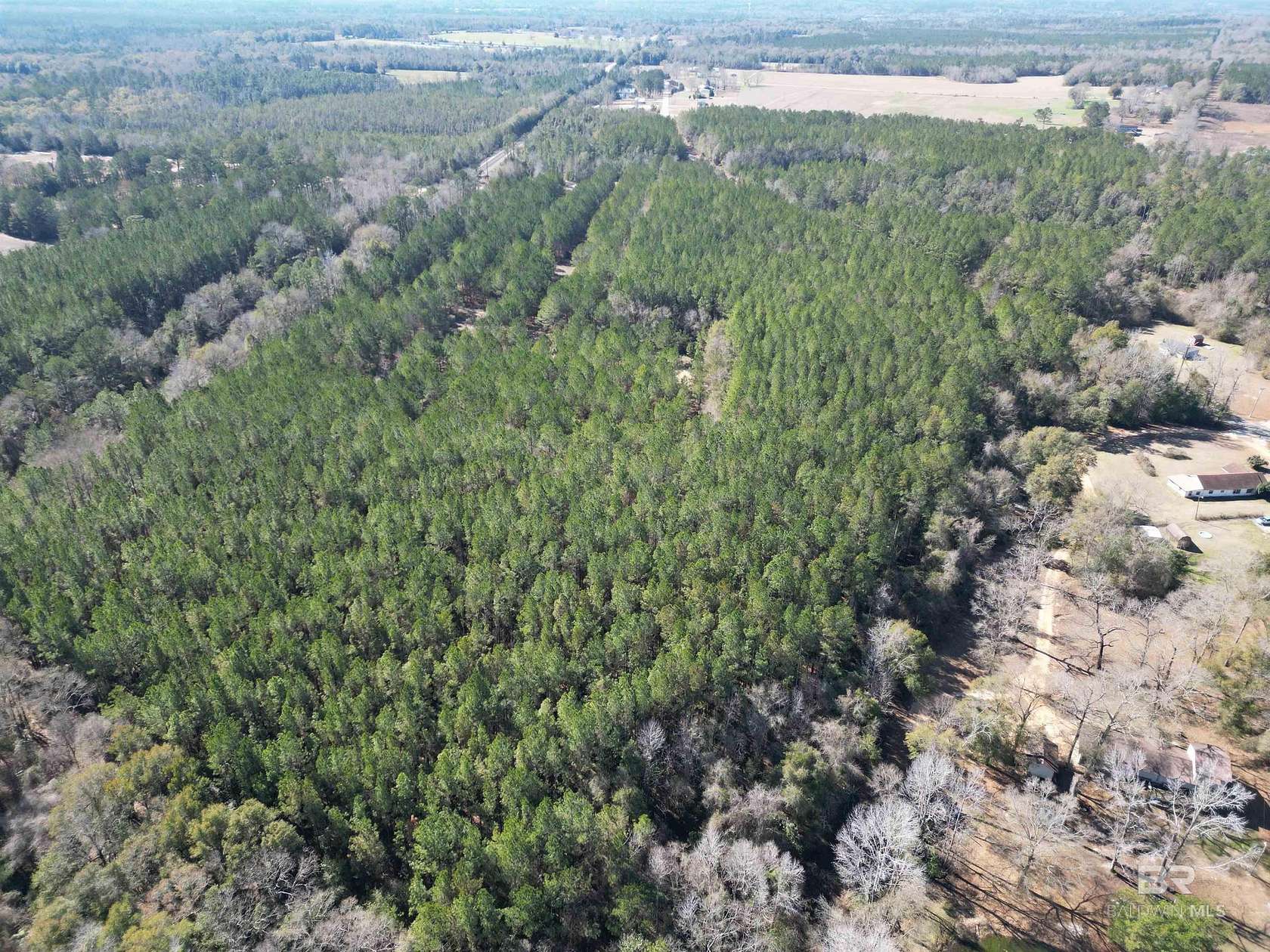 29.7 Acres of Recreational Land for Sale in Flomaton, Alabama