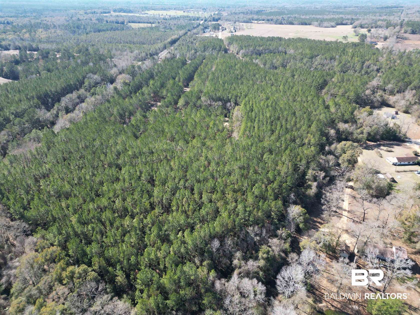 29.7 Acres of Recreational & Residential Land for Sale in Flomaton, Alabama