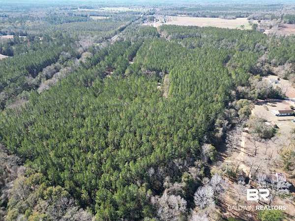 29.7 Acres of Recreational & Residential Land for Sale in Flomaton, Alabama