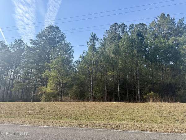 3.7 Acres of Land for Sale in Jayess, Mississippi