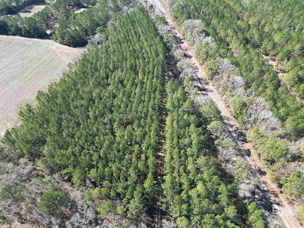 7.86 Acres of Residential Land for Sale in Flomaton, Alabama