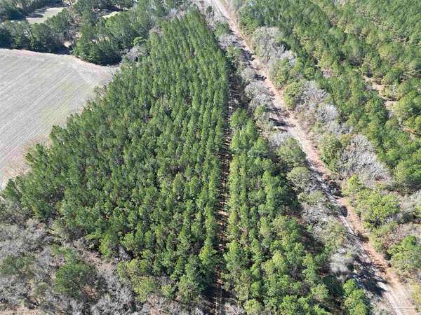 7.86 Acres of Residential Land for Sale in Flomaton, Alabama