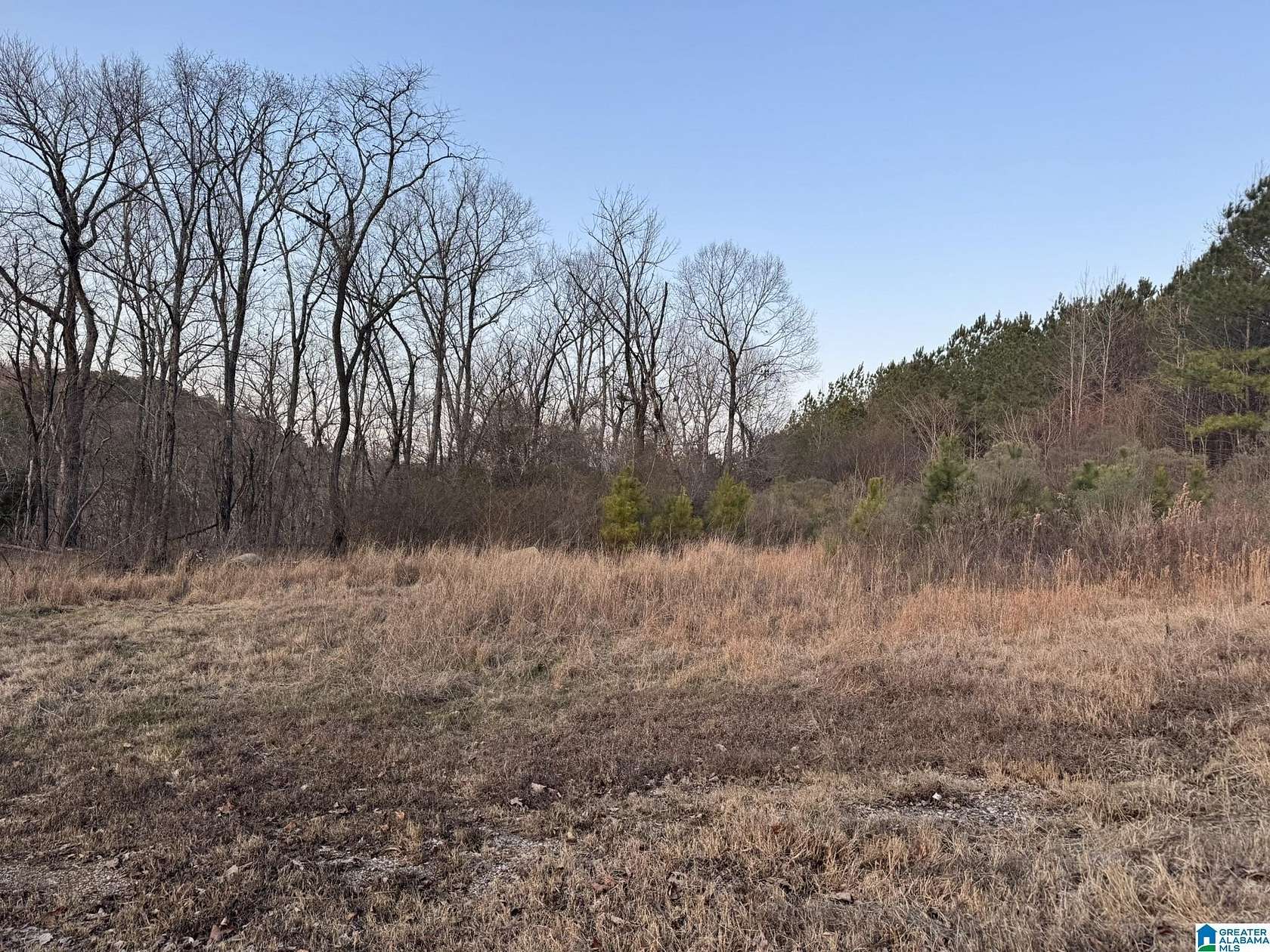 13 Acres of Land for Sale in Quinton, Alabama