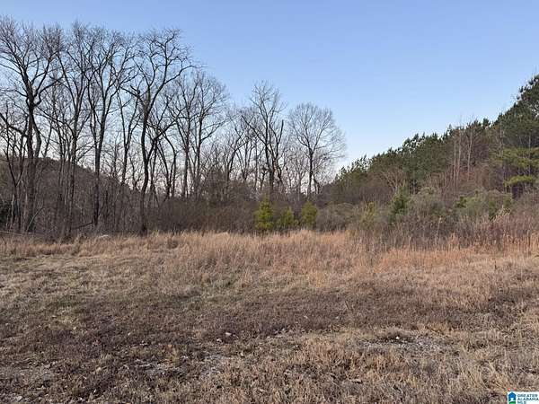 13 Acres of Land for Sale in Quinton, Alabama