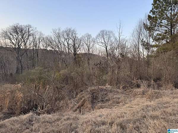 13 Acres of Land for Sale in Quinton, Alabama
