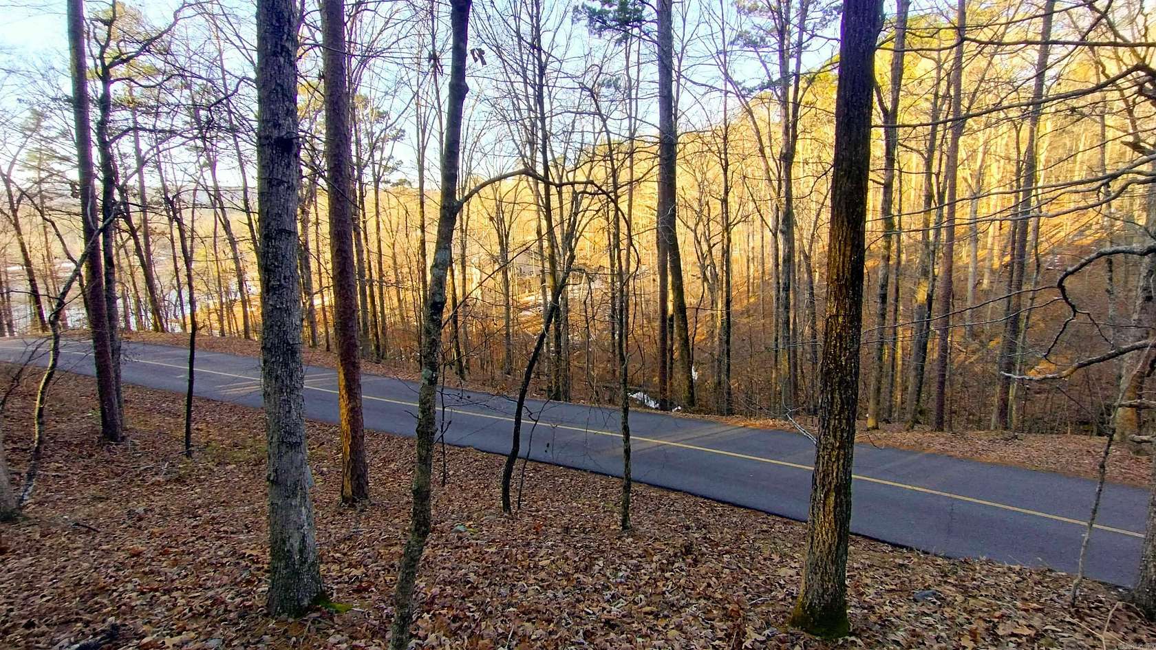 1.1 Acres of Residential Land for Sale in Hot Springs Village, Arkansas
