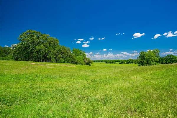 230 Acres of Land for Sale in Groesbeck, Texas