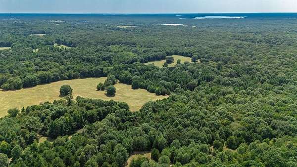21 Acres of Land for Sale in Quitman, Texas