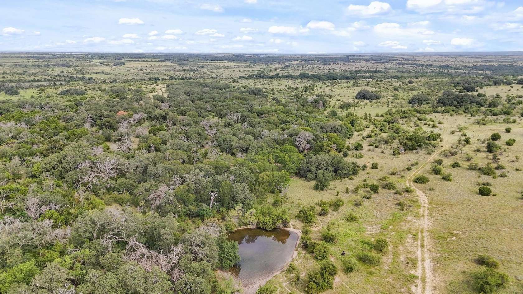 113 Acres of Land for Sale in Hamilton, Texas