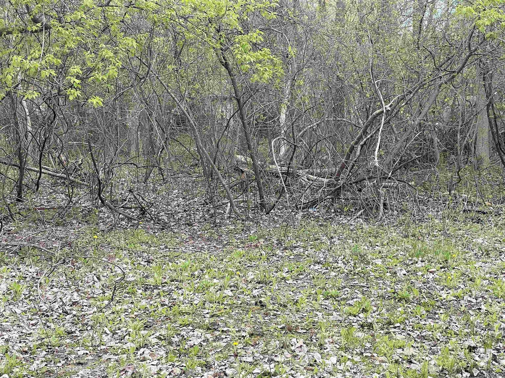0.47 Acres of Residential Land for Sale in Bay City, Michigan