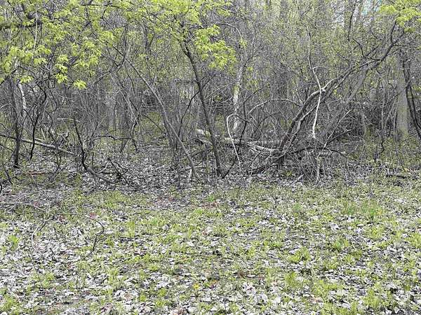 0.47 Acres of Residential Land for Sale in Bay City, Michigan