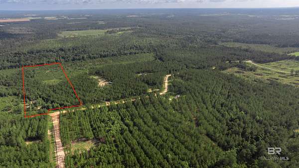 20 Acres of Recreational & Residential Land for Sale in Robertsdale, Alabama