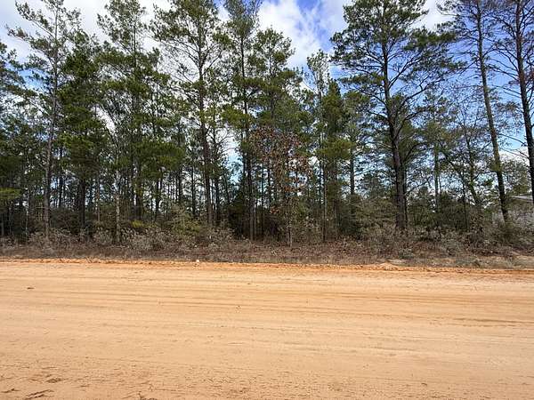 0.23 Acres of Residential Land for Sale in DeFuniak Springs, Florida