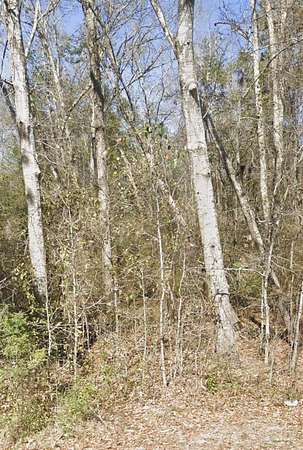 1.25 Acres of Land for Sale in Pensacola, Florida
