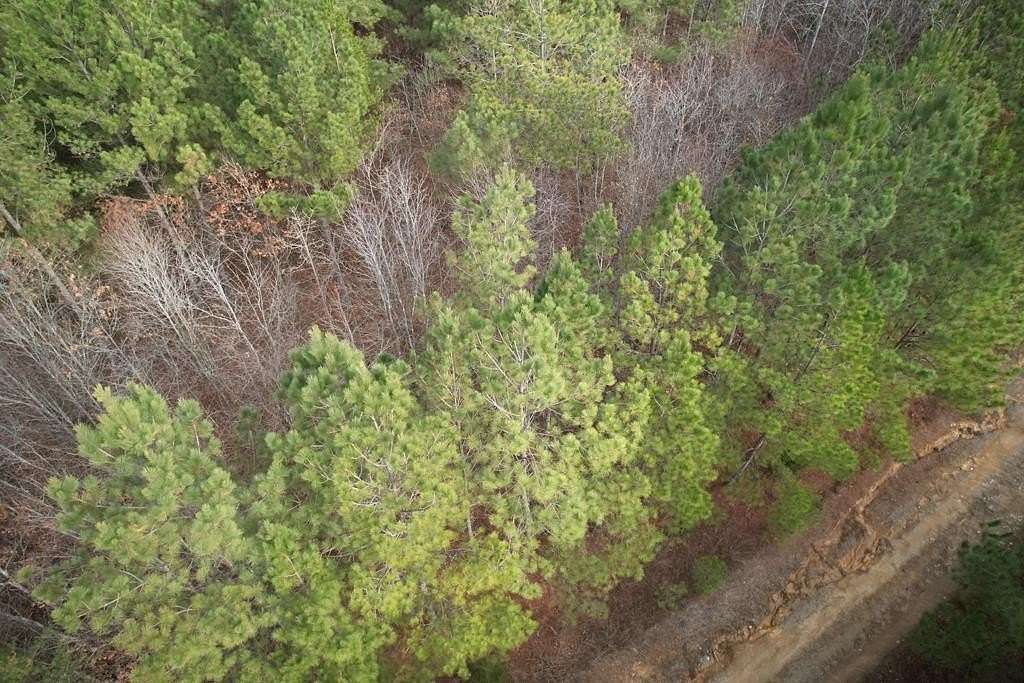 5 Acres of Residential Land for Sale in Spencer, Tennessee