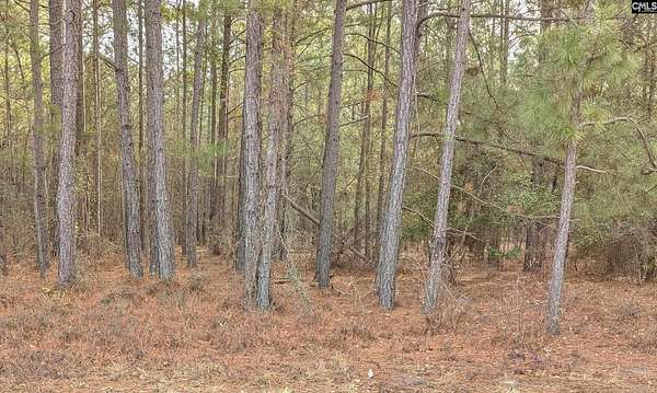 2 Acres of Land for Sale in Kershaw, South Carolina