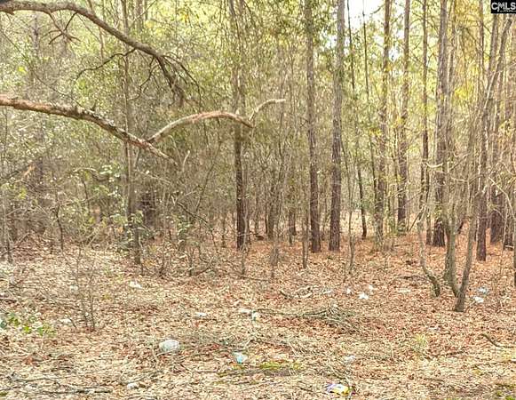 2 Acres of Land for Sale in Kershaw, South Carolina
