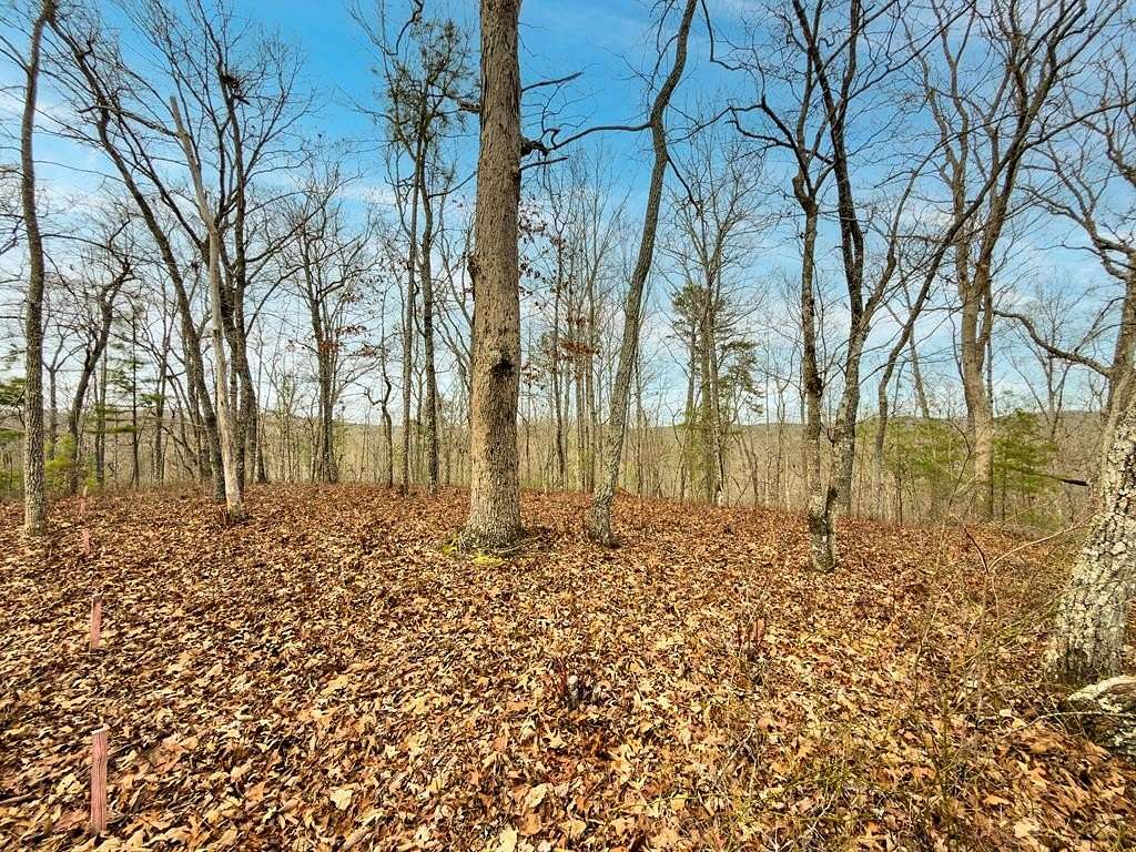 2.9 Acres of Residential Land for Sale in Ellijay, Georgia