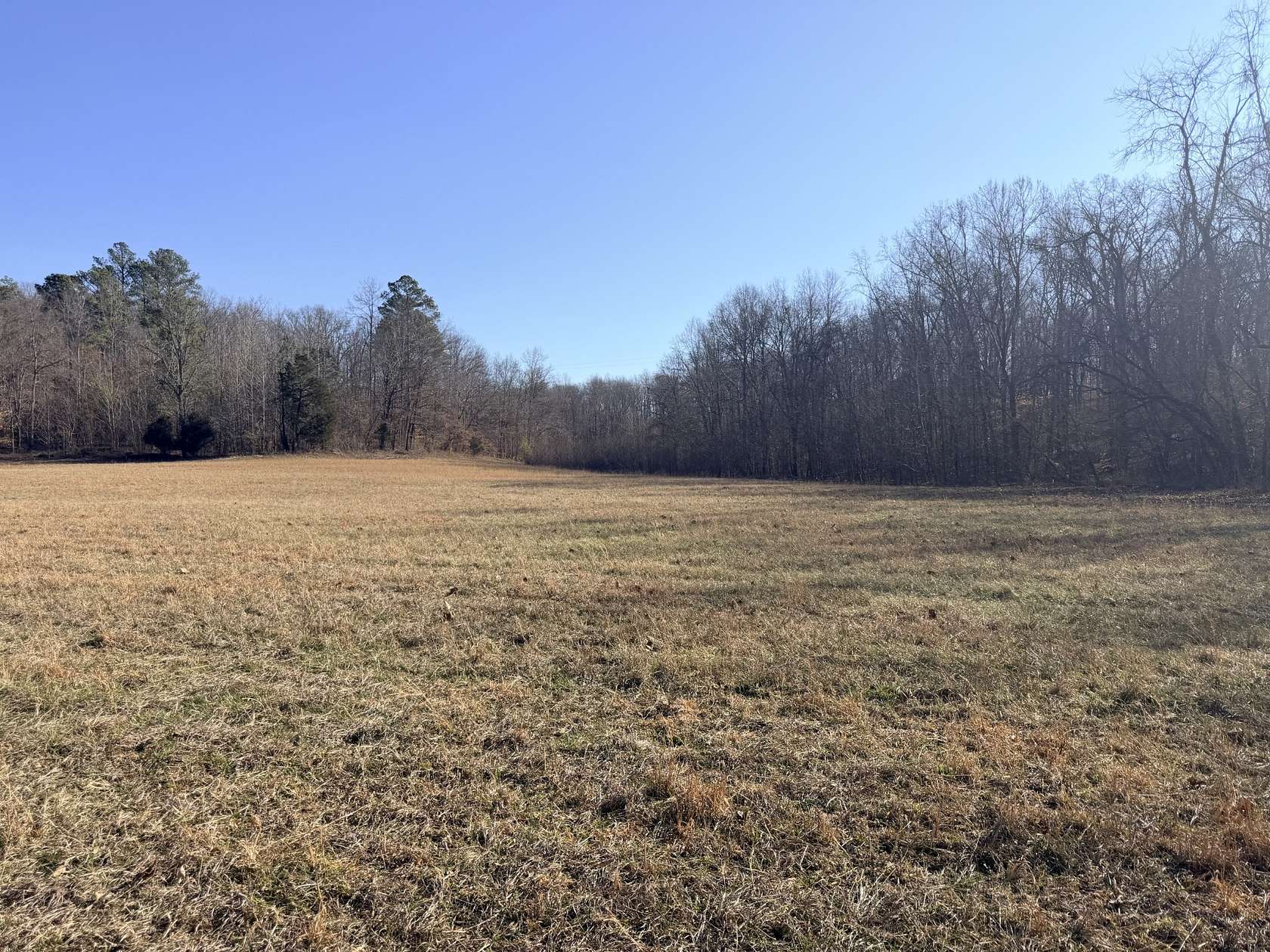5 Acres of Land for Sale in Erin, Tennessee