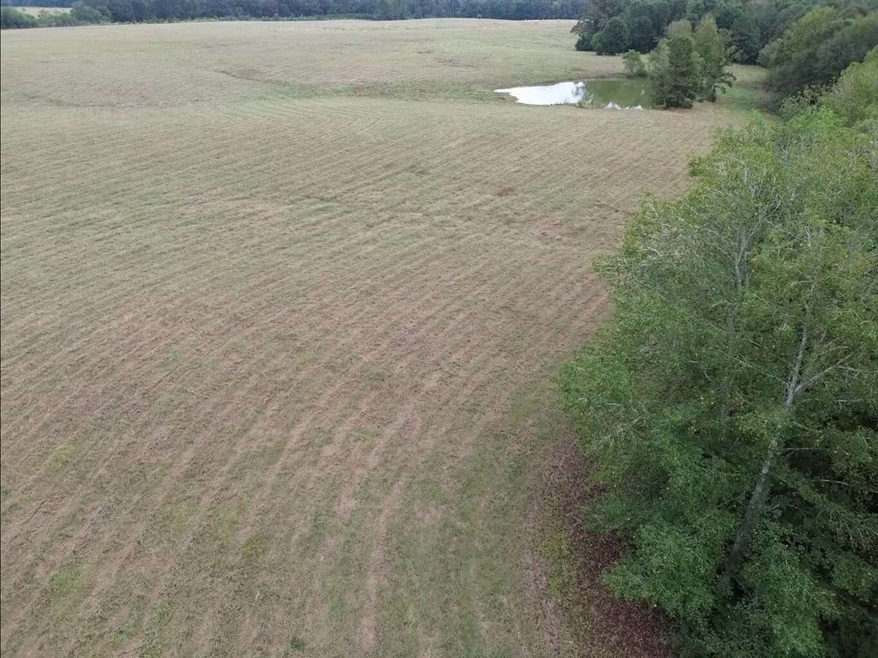 100 Acres of Recreational Land & Farm for Sale in Magnolia, Mississippi