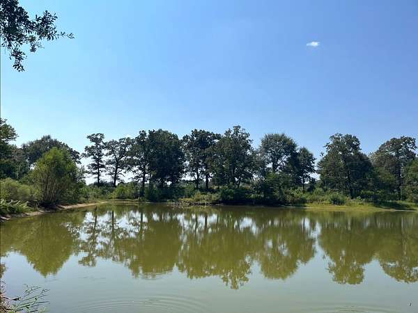 100 Acres of Land for Sale in Magnolia, Mississippi