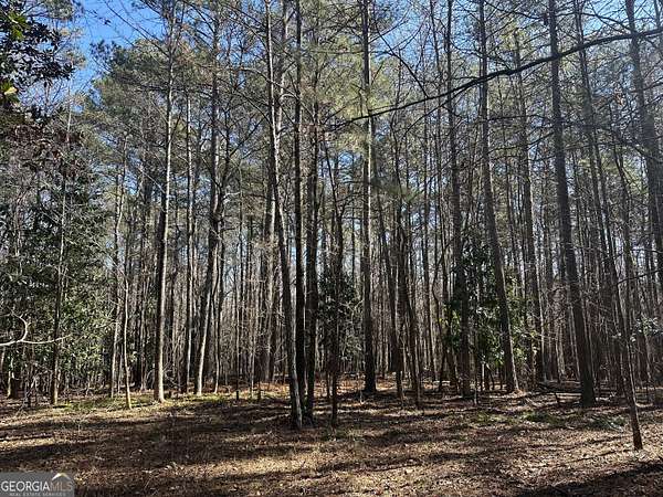 5 Acres of Residential Land for Sale in Tyrone, Georgia