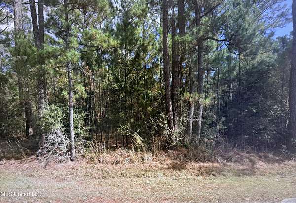 13 Acres of Land for Sale in Bay St. Louis, Mississippi