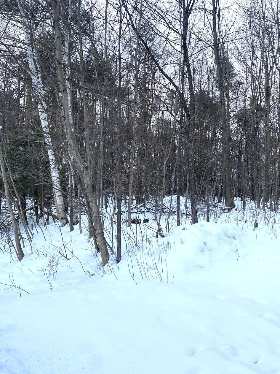 0.67 Acres of Residential Land for Sale in Cheboygan, Michigan