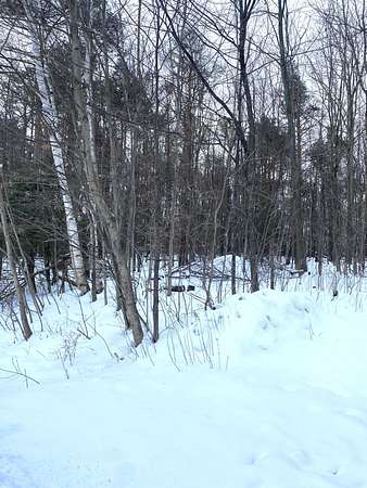 0.67 Acres of Residential Land for Sale in Cheboygan, Michigan