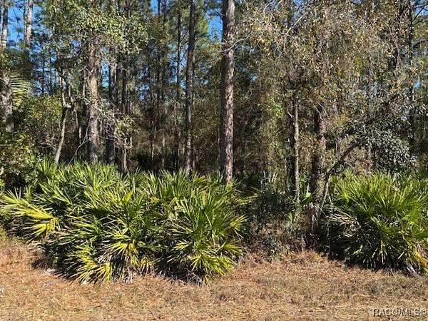 1.25 Acres of Residential Land for Sale in Homosassa, Florida