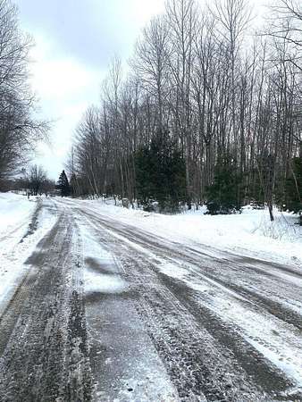 0.65 Acres of Land for Sale in Cheboygan, Michigan