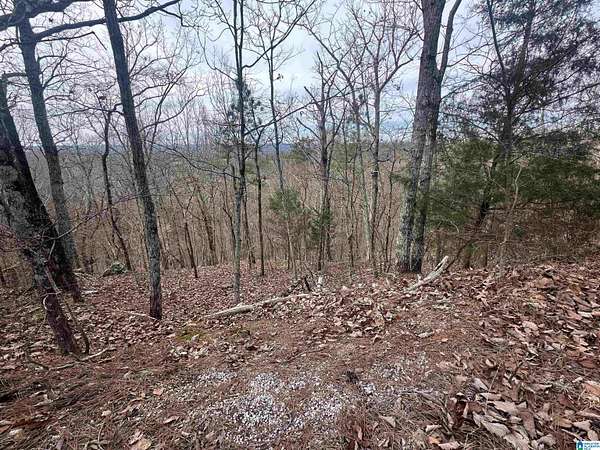 4.2 Acres of Residential Land for Sale in Warrior, Alabama