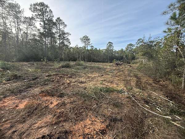 9 Acres of Residential Land for Sale in Milton, Florida