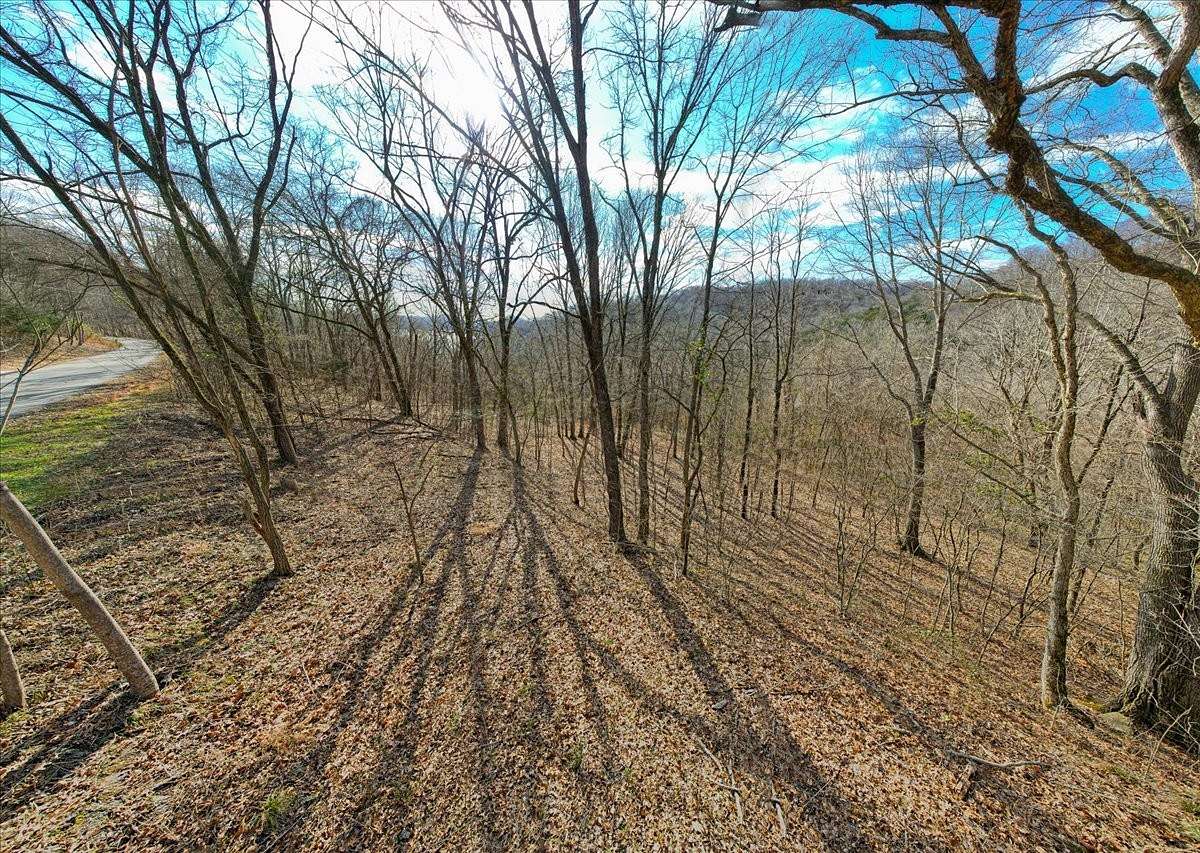 2 Acres of Residential Land for Sale in Silver Point, Tennessee
