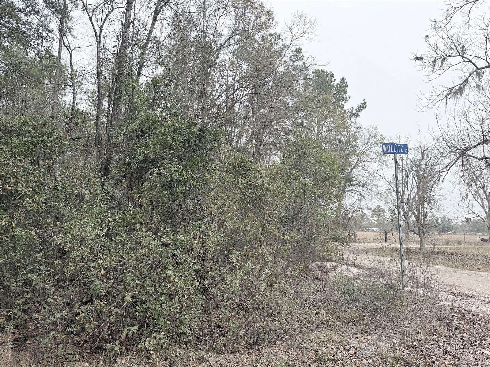 12.7 Acres of Agricultural Land for Sale in Glen St. Mary, Florida