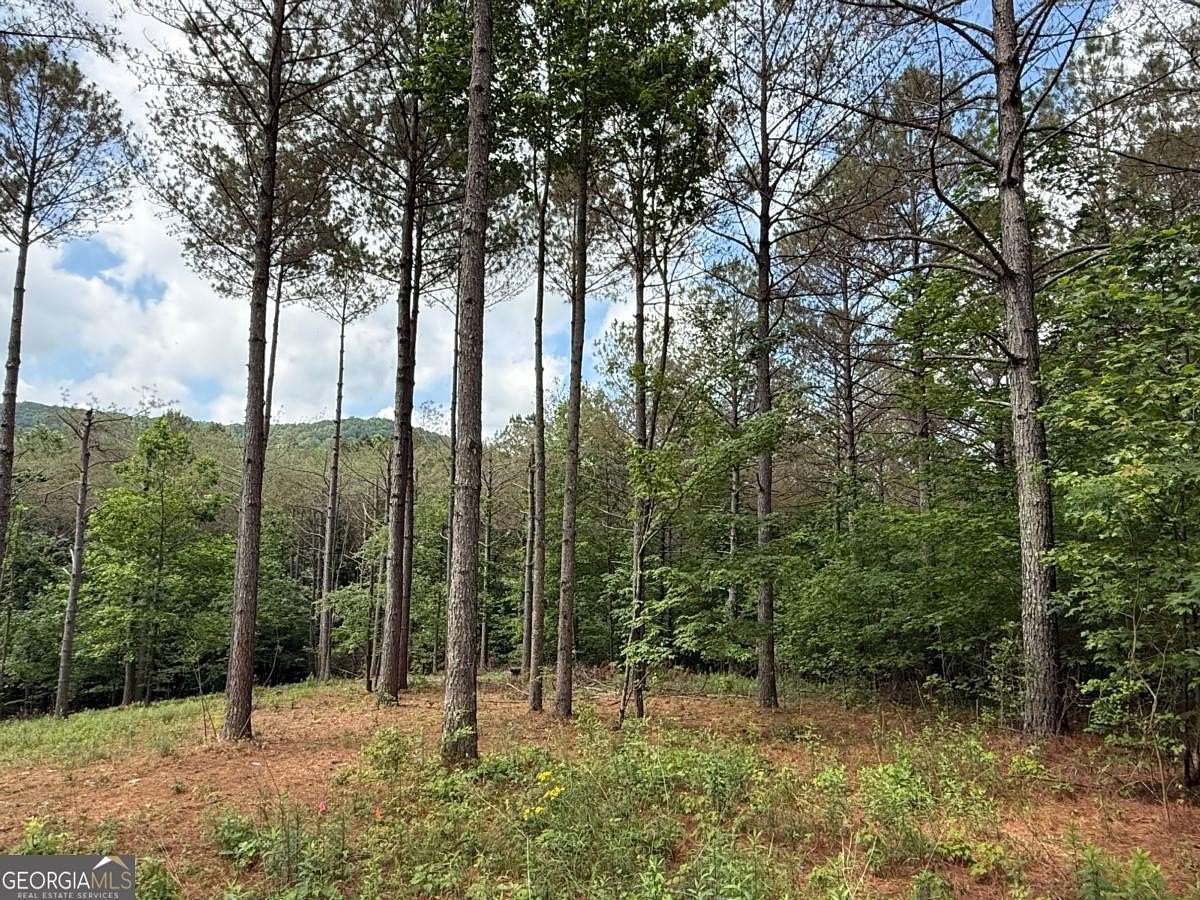 3.28 Acres of Residential Land for Sale in Ellijay, Georgia