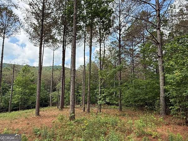 3.28 Acres of Residential Land for Sale in Ellijay, Georgia