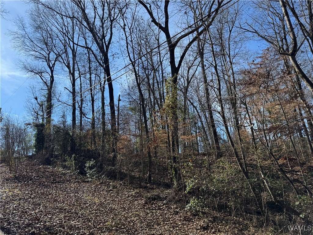 0.35 Acres of Residential Land for Sale in Tuscaloosa, Alabama