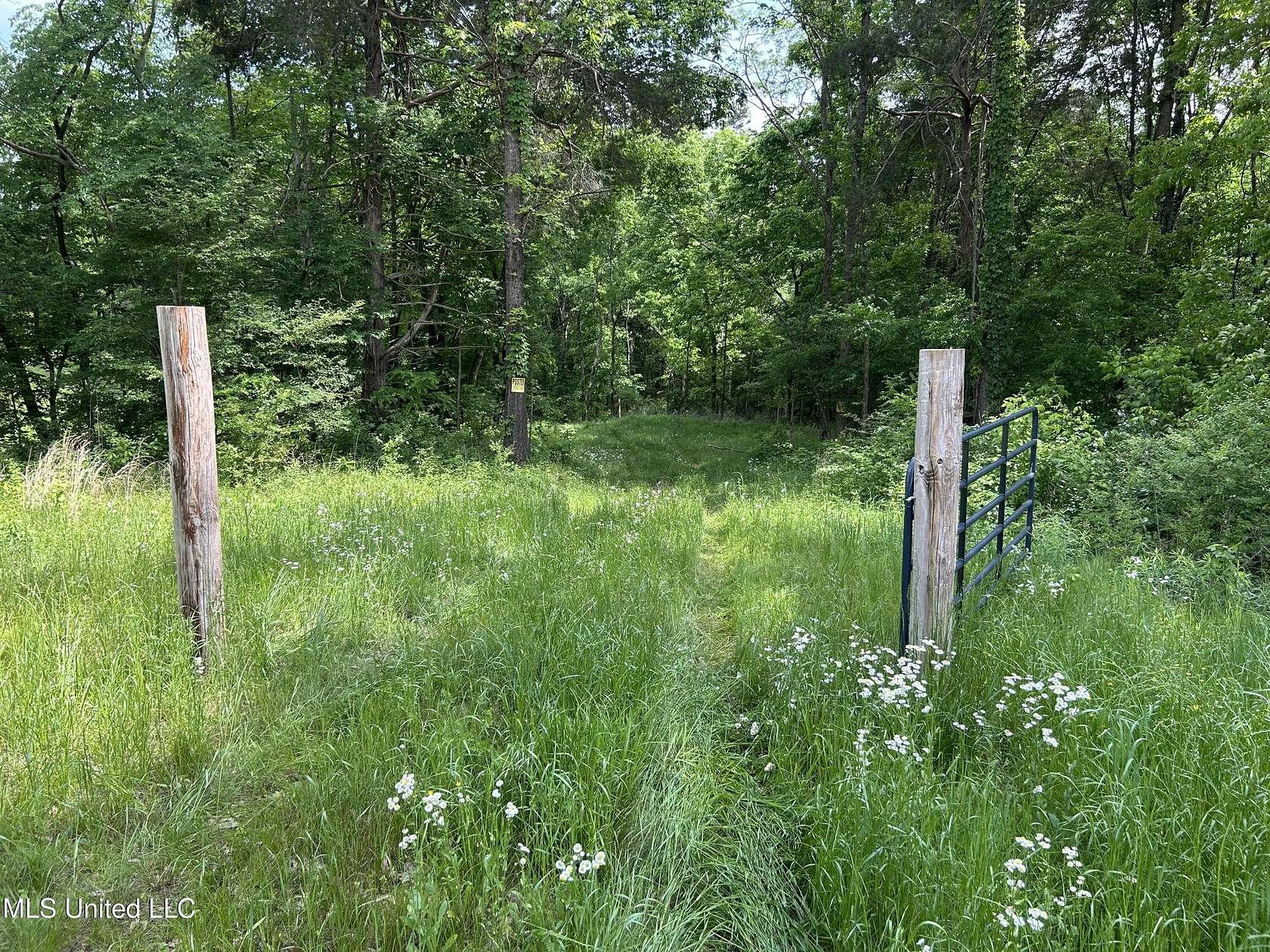 12 Acres of Land for Sale in Sarah, Mississippi