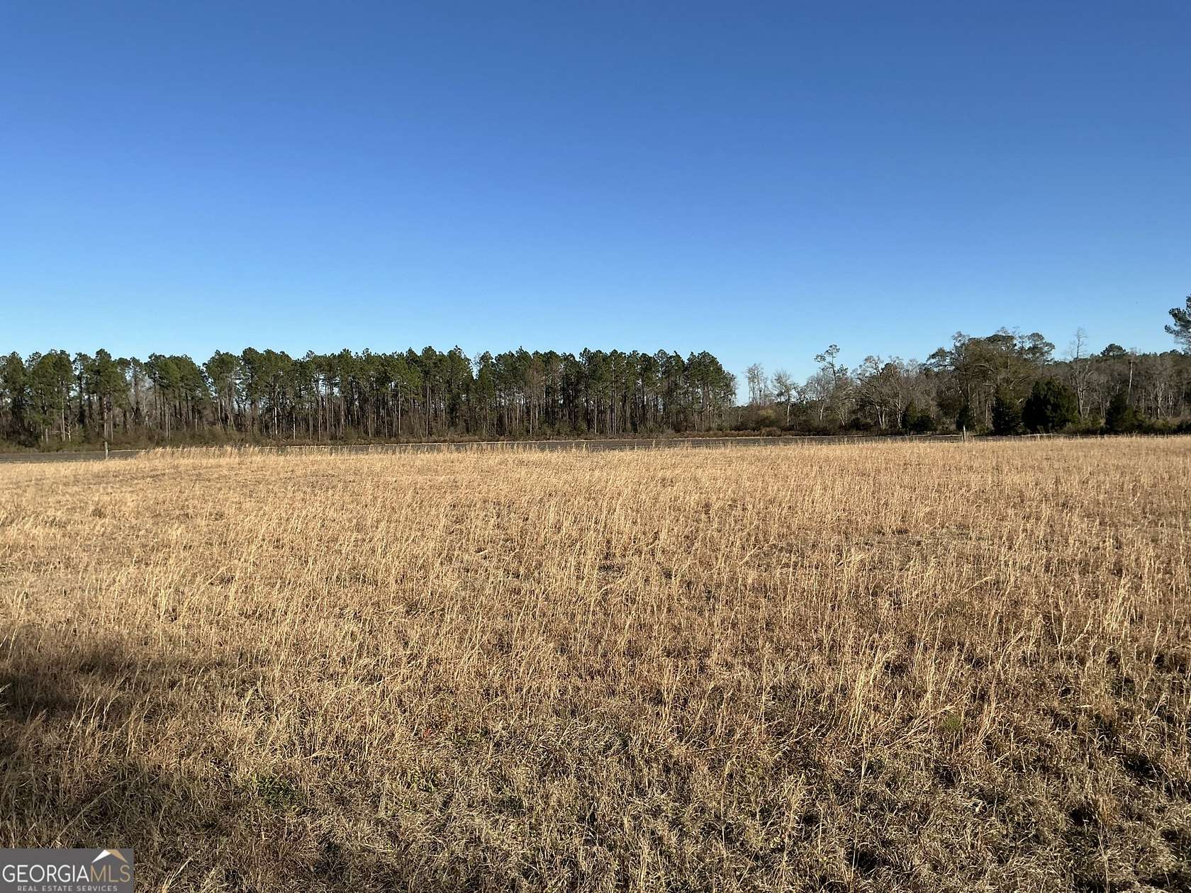 1 Acre of Residential Land for Sale in Waycross, Georgia