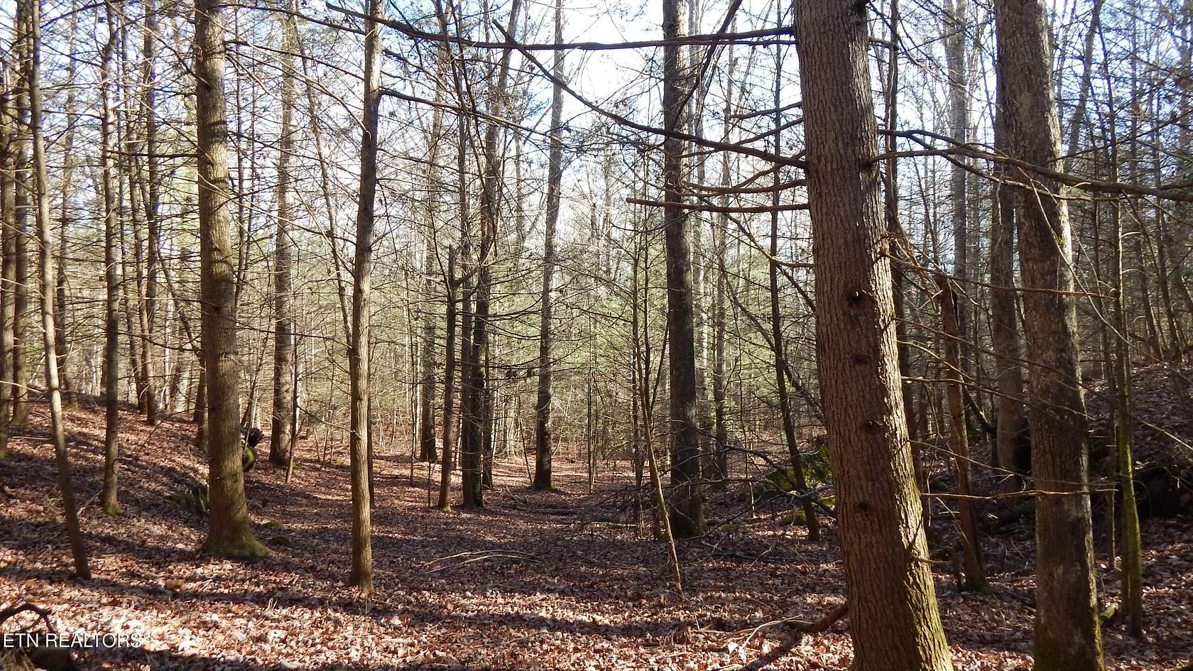 10.7 Acres of Land for Sale in Jamestown, Tennessee