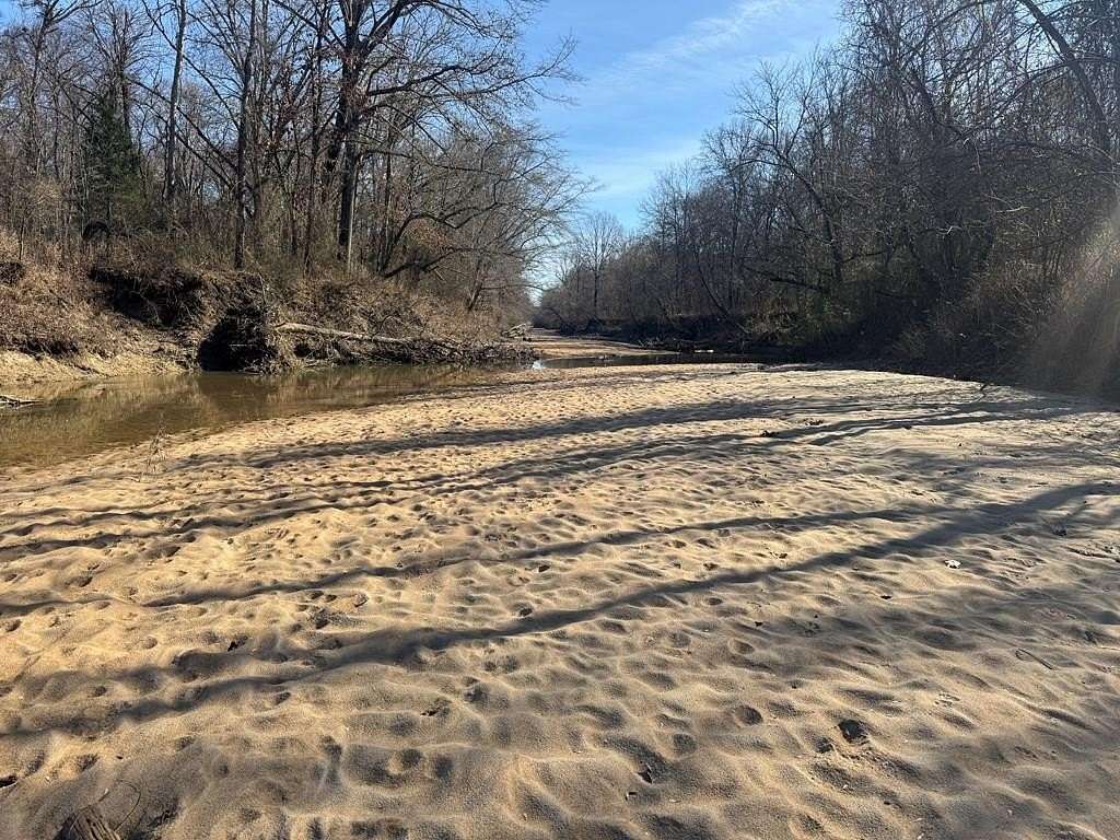 38.5 Acres of Recreational Land for Sale in Woodland, Mississippi